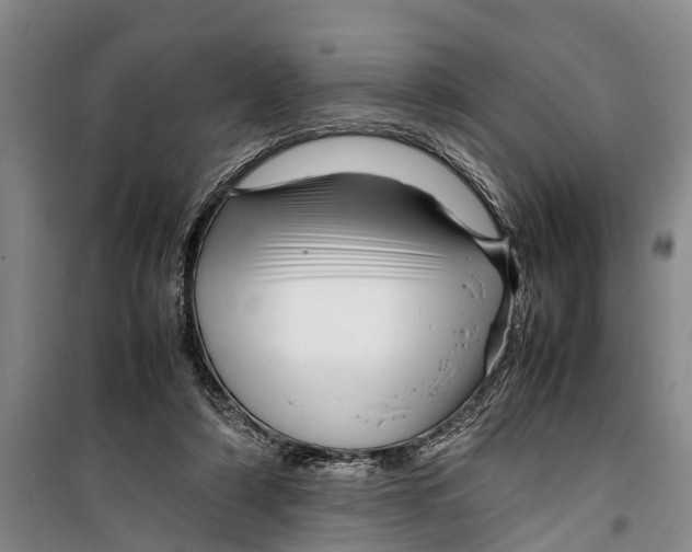 X0000099430306200805301435