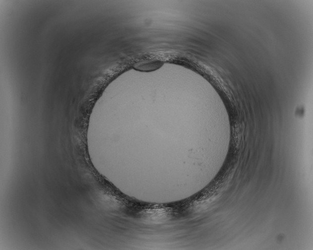 X0000099430307200805301435