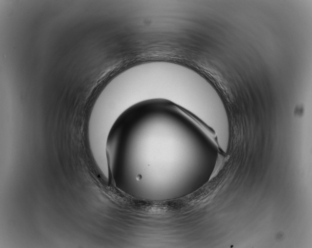 X0000099430308200805301434