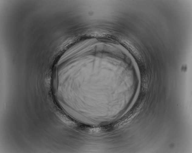 X0000099430309200805301434