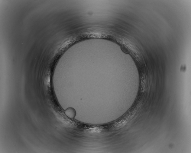 X0000099430310200805301434