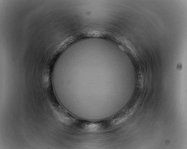 X0000099430312200805301434