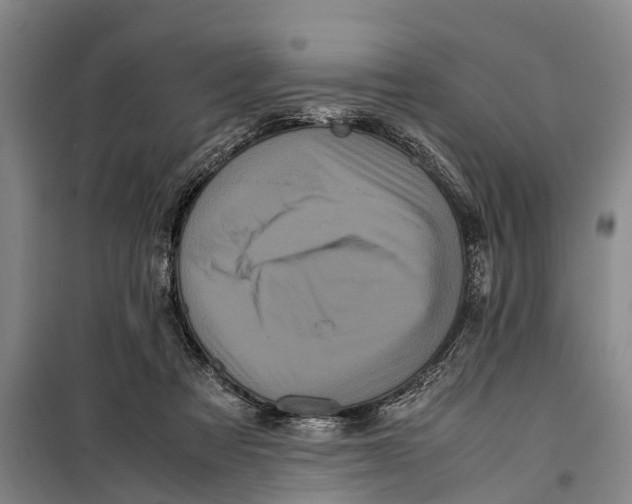 X0000099430313200805301434