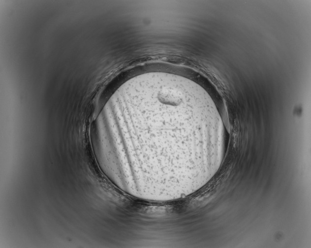 X0000099430314200805301434