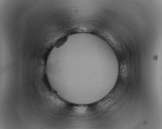 X0000099430318200805301434