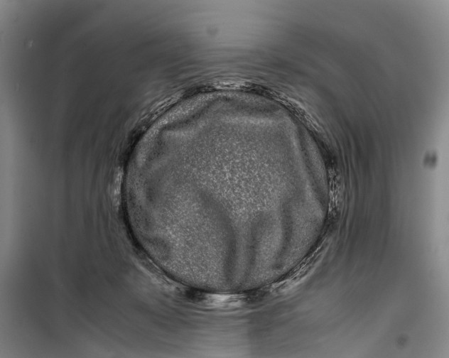 X0000099430319200805301434