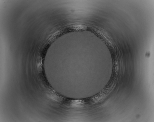 X0000099430320200805301434