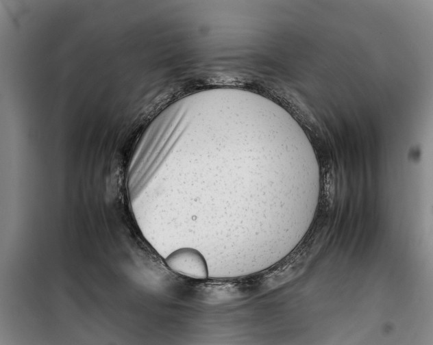 X0000099430322200805301434