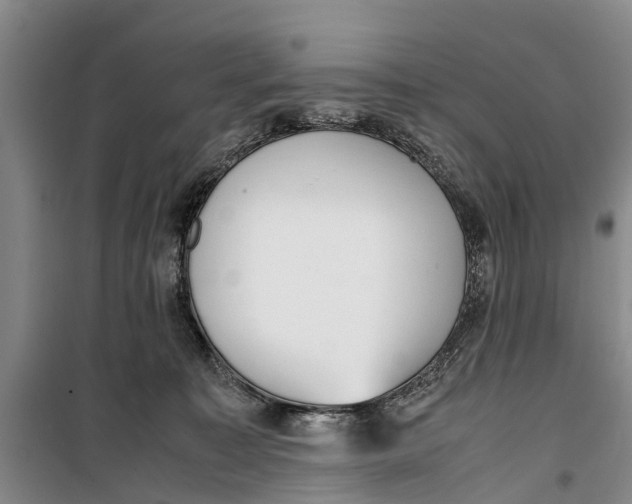 X0000099430323200805301434