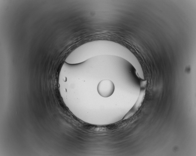 X0000099430324200805301434