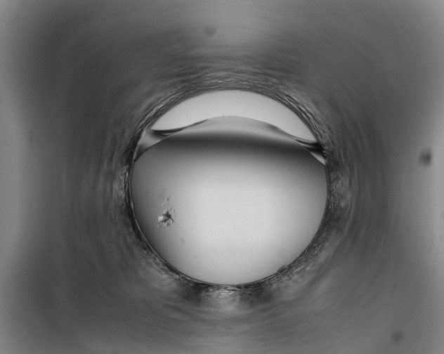 X0000099430325200805301434