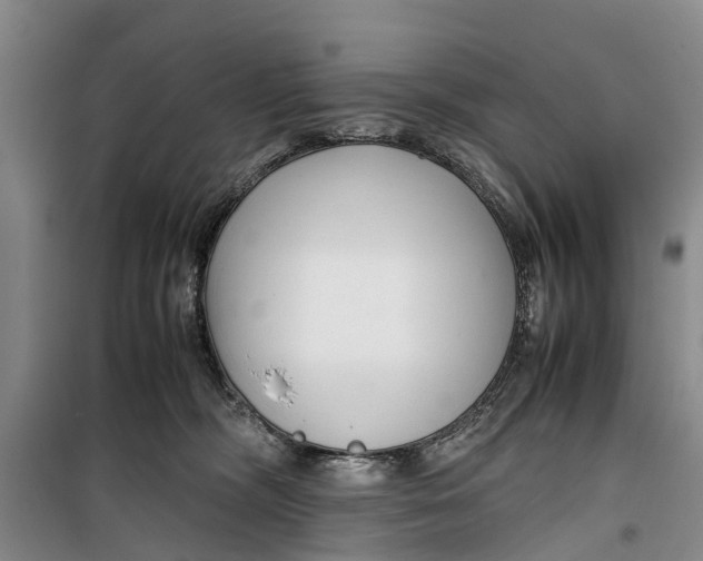 X0000099430326200805301434