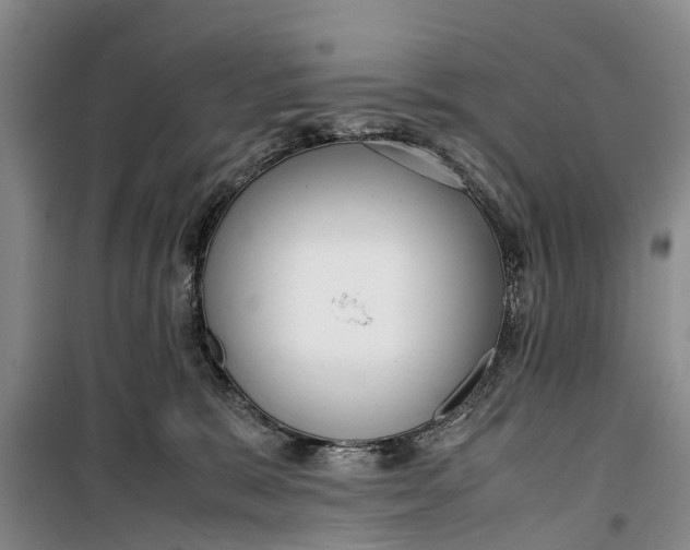 X0000099430327200805301434