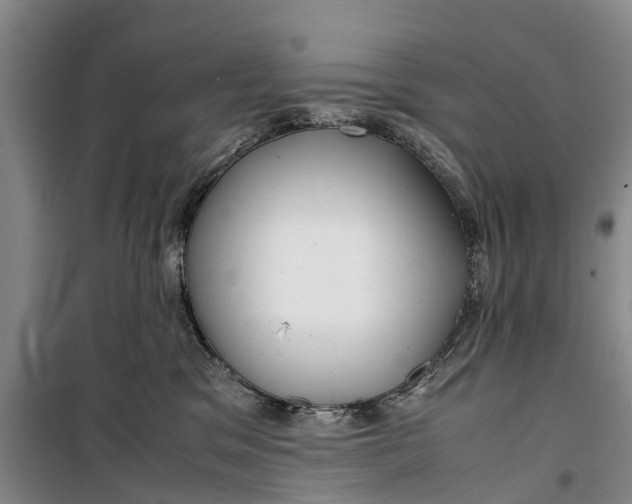 X0000099430329200805301434