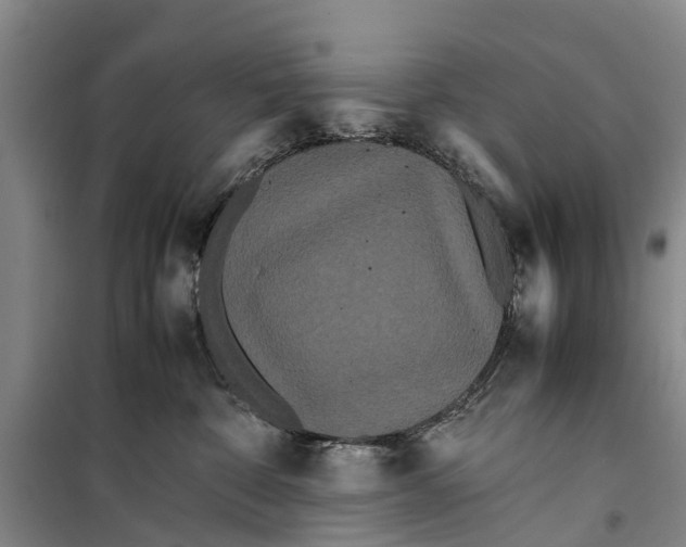 X0000099430332200805301434