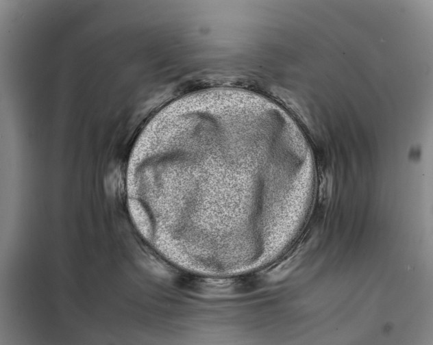 X0000099430335200805301434