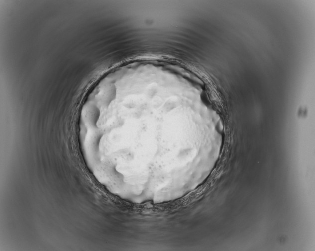 X0000099430337200805301433