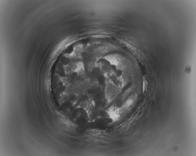 X0000099430339200805301433