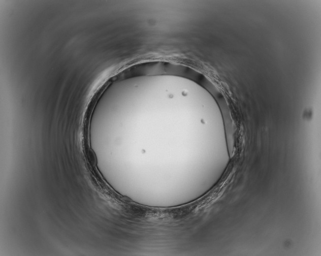 X0000099430340200805301433