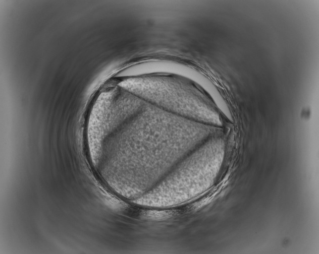 X0000099430341200805301433