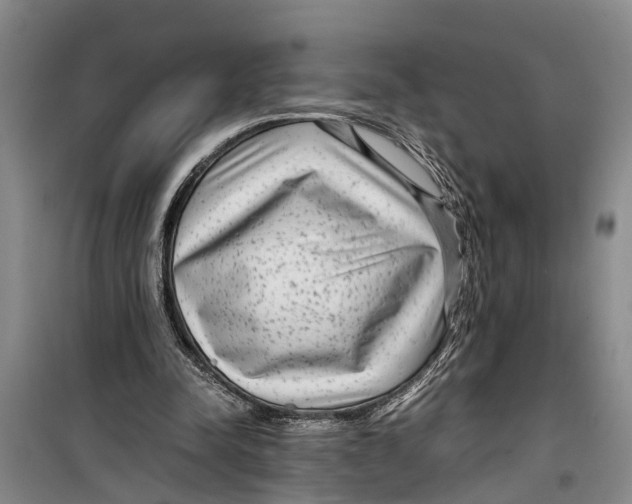 X0000099430342200805301433