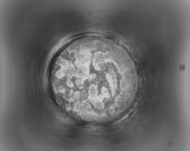 X0000099430343200805301433