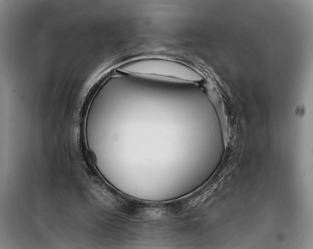 X0000099430344200805301433