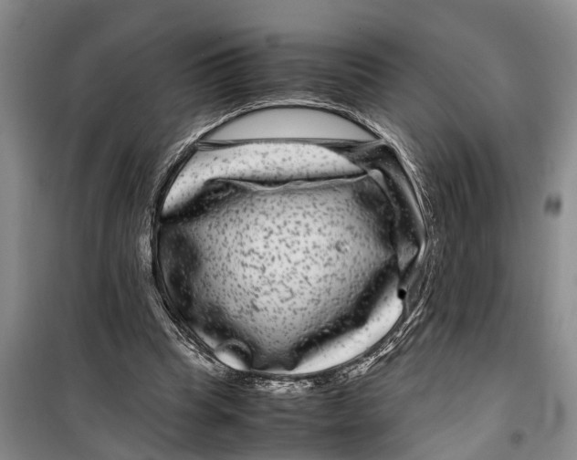 X0000099430345200805301433