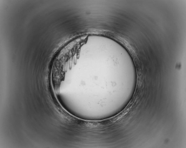 X0000099430346200805301433