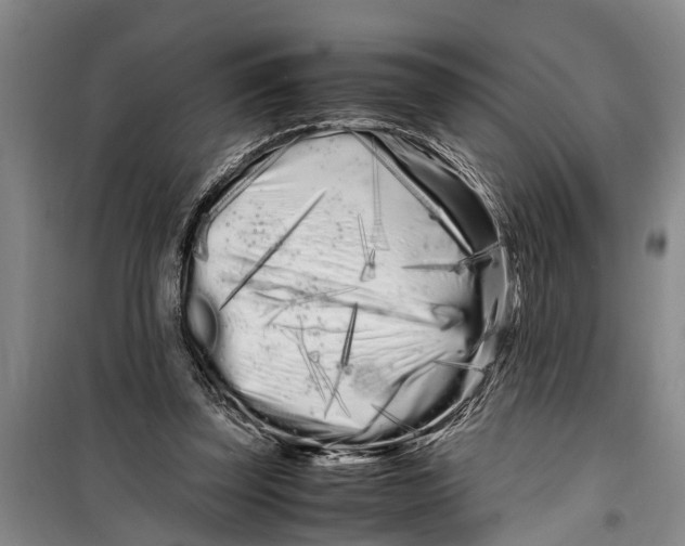 X0000099430347200805301433