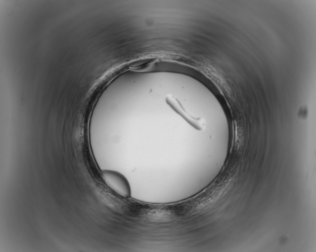 X0000099430348200805301433