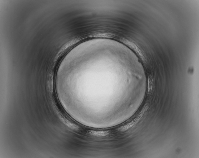 X0000099430349200805301433