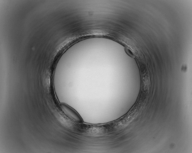 X0000099430350200805301433