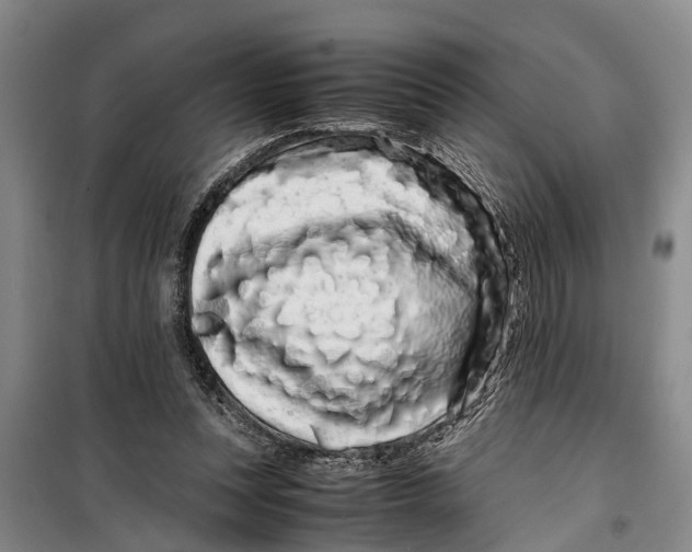 X0000099430351200805301433