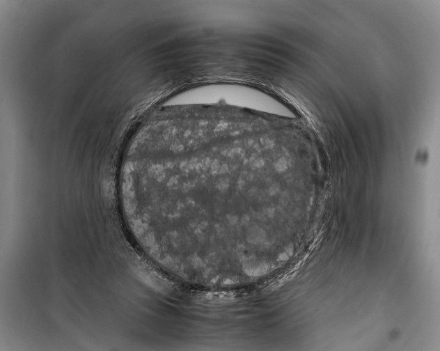 X0000099430353200805301433