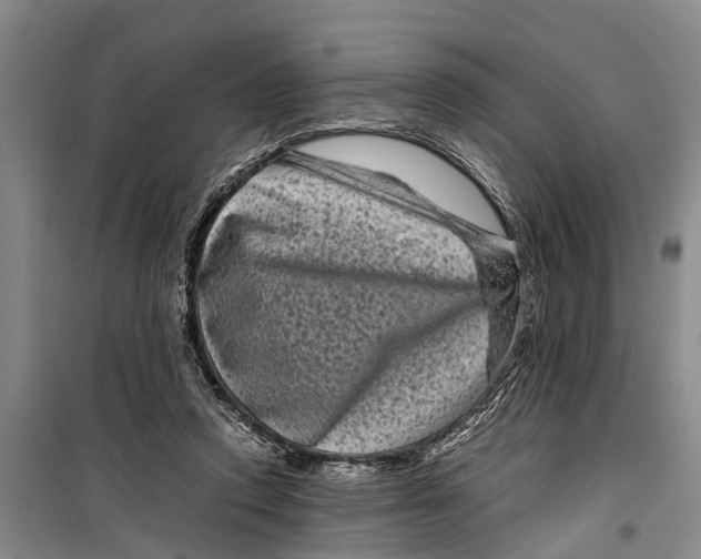 X0000099430354200805301433