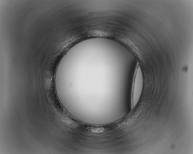 X0000099430355200805301433