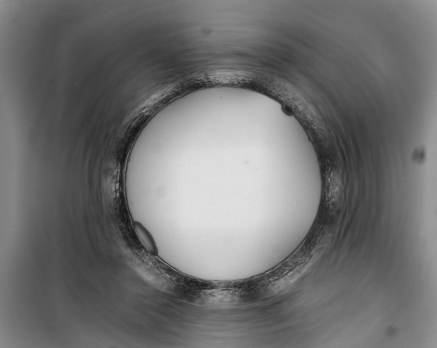 X0000099430356200805301434