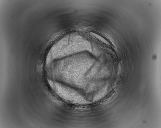 X0000099430357200805301434