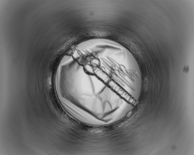 X0000099430358200805301434