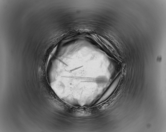 X0000099430359200805301434