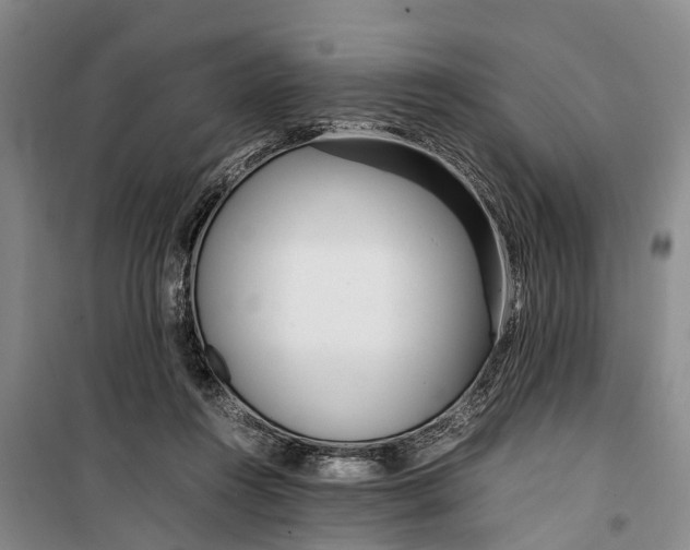 X0000099430360200805301434