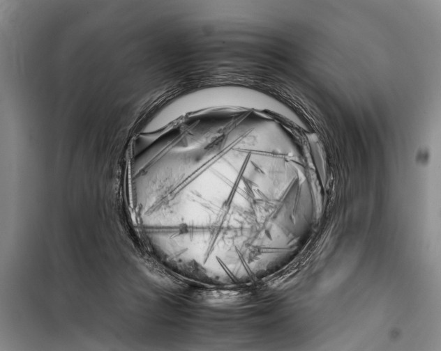 X0000099430361200805301434