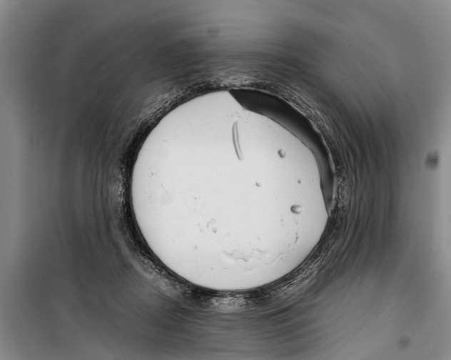 X0000099430362200805301434