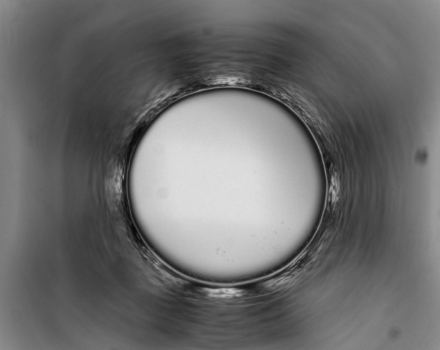 X0000099430363200805301434