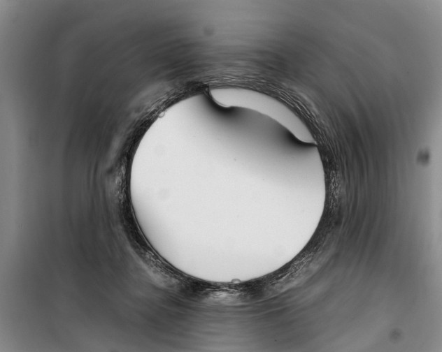 X0000099430364200805301434