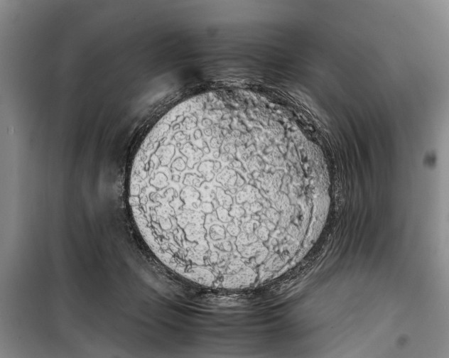 X0000099430365200805301434