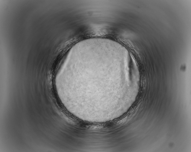 X0000099430366200805301434