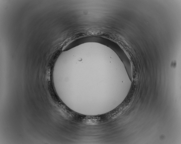 X0000099430368200805301434