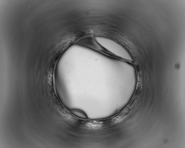 X0000099430369200805301434